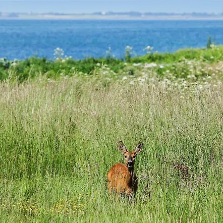 K20059-gorlev-landervejen-74 * Gørlev